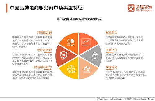 2023年中国品牌电商服务商行业 需求增长与咨询服务发展展望