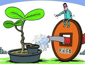 社会资本给力文化产业与社会经济咨询服务